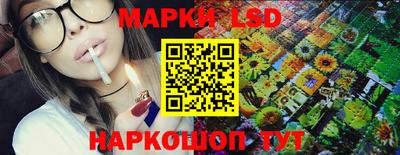 шишки Кимры