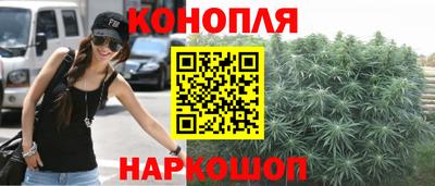 шишки Кимры