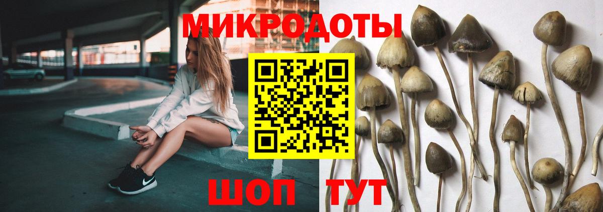Галлюциногенные грибы Magic Shrooms  Вход с VPN  Корсаков 